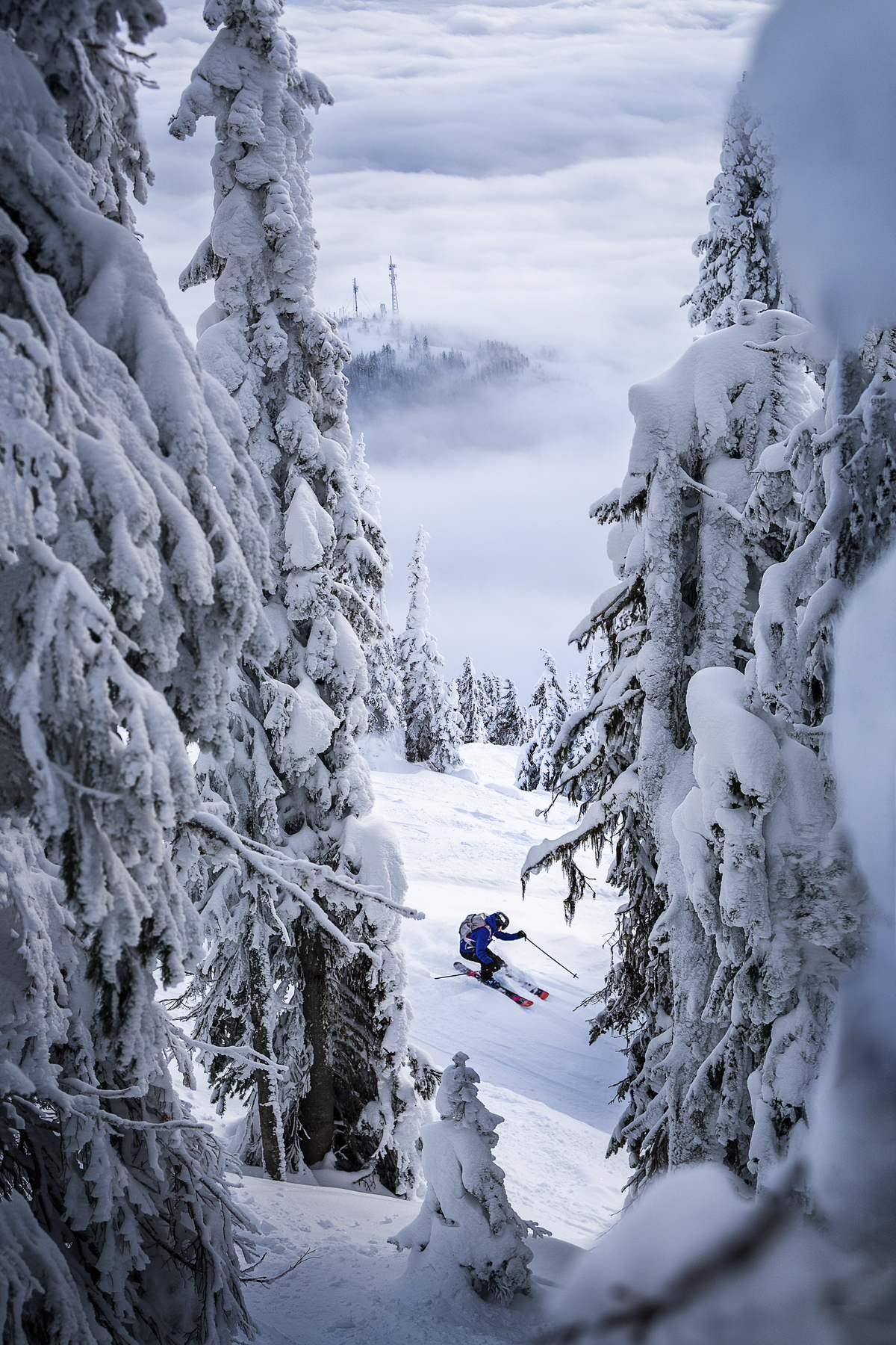 A skier seen through the trees at RED Mountain Resort