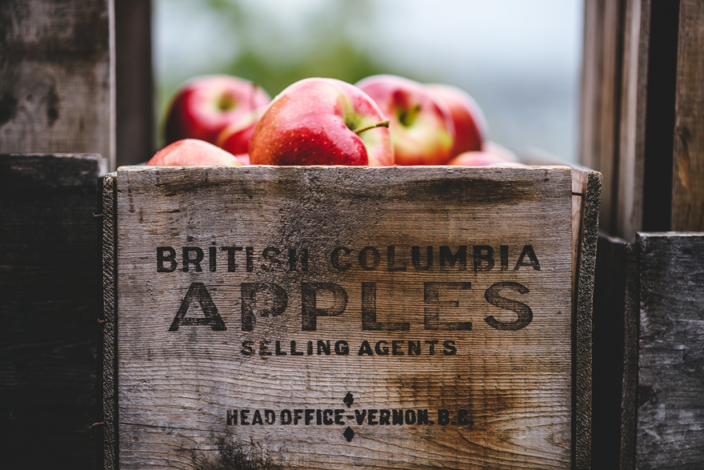 A close up of a bushel of apples. The words, "British Columbia Apples selling agents, head office - Vernon BC" is on the wooden crate. 