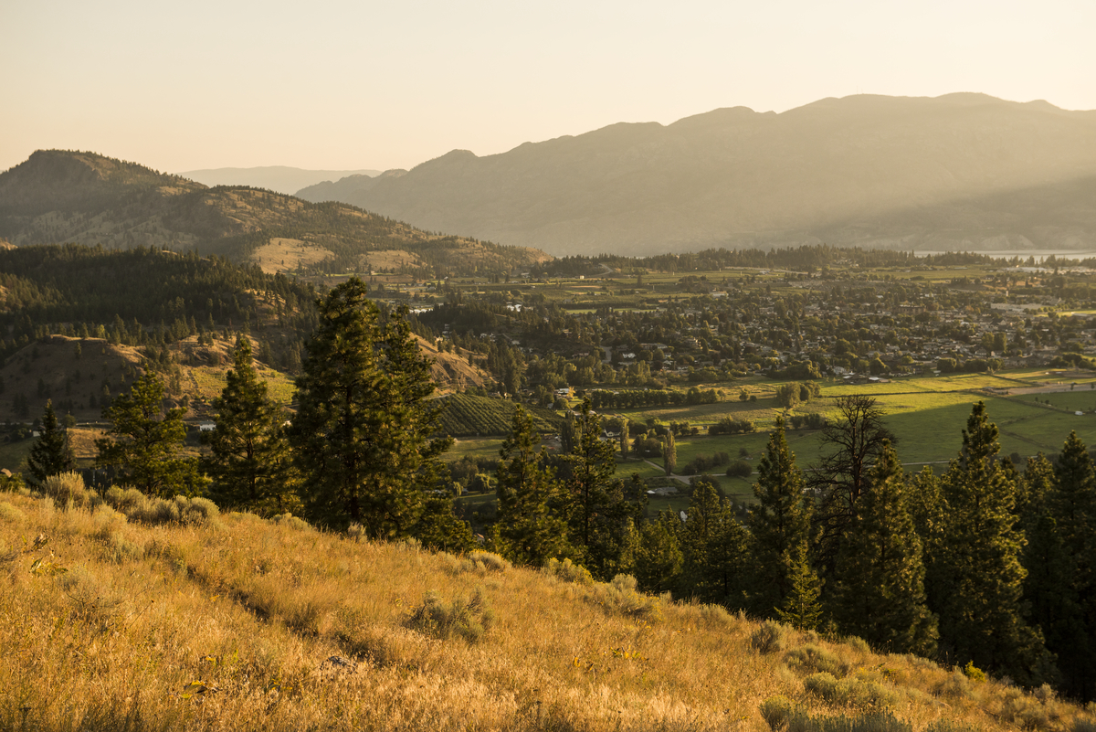 Lush hills and trees in Summerland. The sun is setting and the light is low over the hills and valley below. Houses dot the valley. 