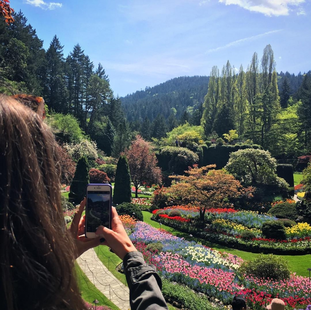 A person on an iPhone snaps a photo of the gardens on a sunny, summer day. 