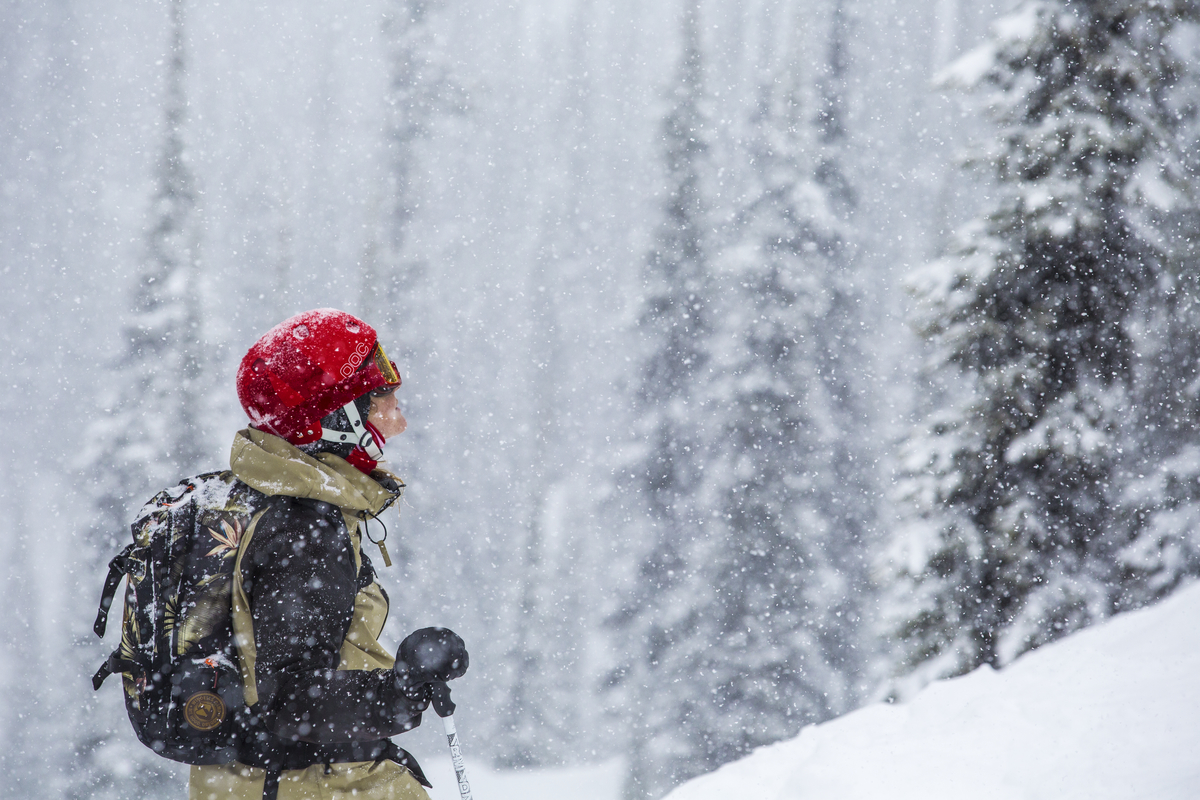 A skier in a red helmet looks up at the trees. It is snowing heavily in the mountains.