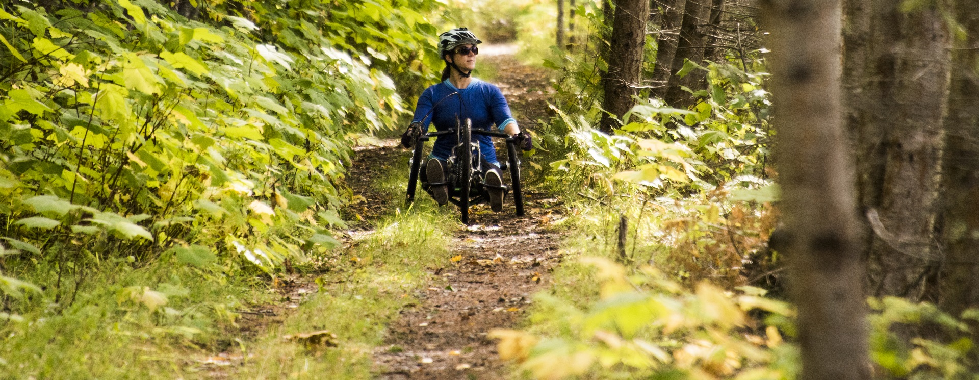 A person uses a mobility device to hike through the forest