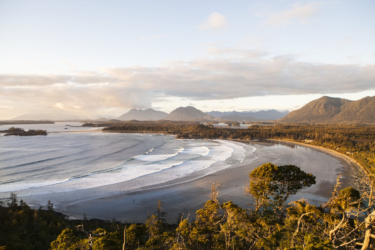 Aerial view of the coastline with waves breaking on a long, sandy beach. Trees are in the foreground, mountains in the distance.