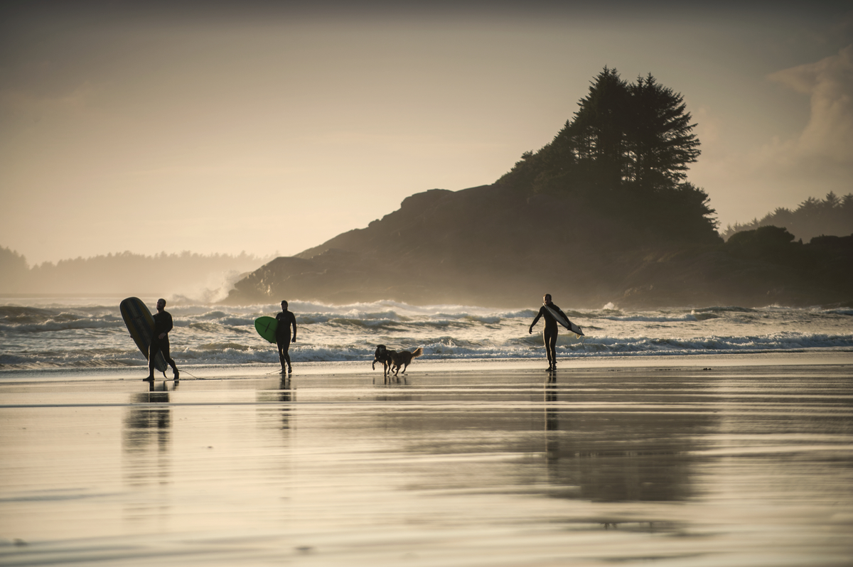 Surfers in Tofino at sunset