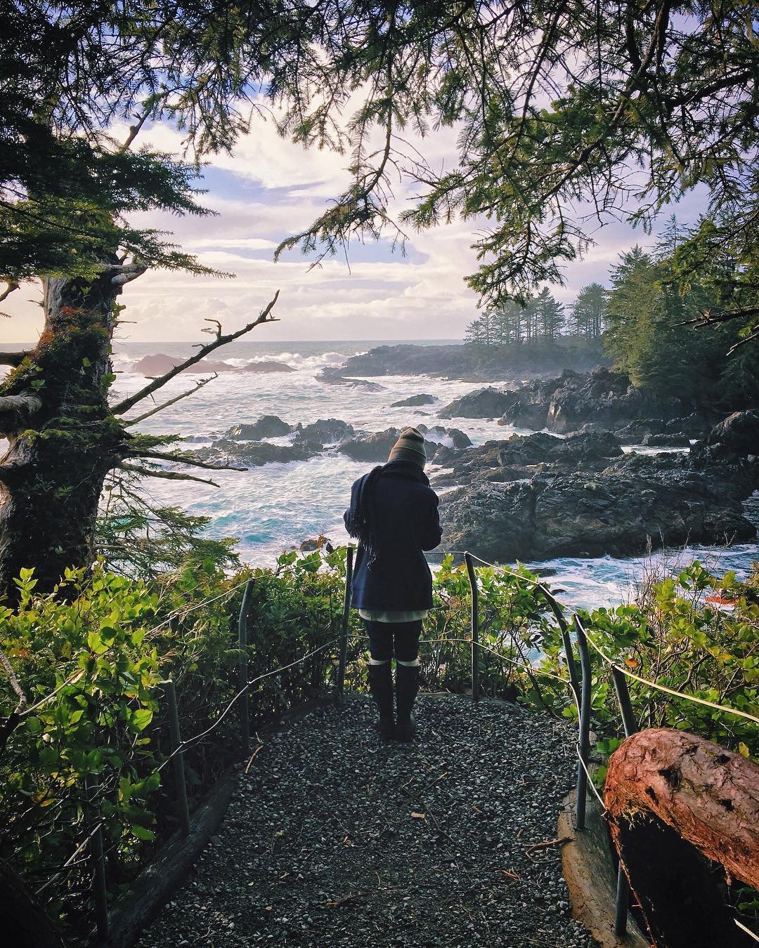 A person looks out at the ocean from a lookout on the Wild Pacific Trail