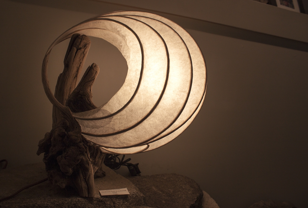 Custom driftwood table lamp from the Craft Connection in Nelson.