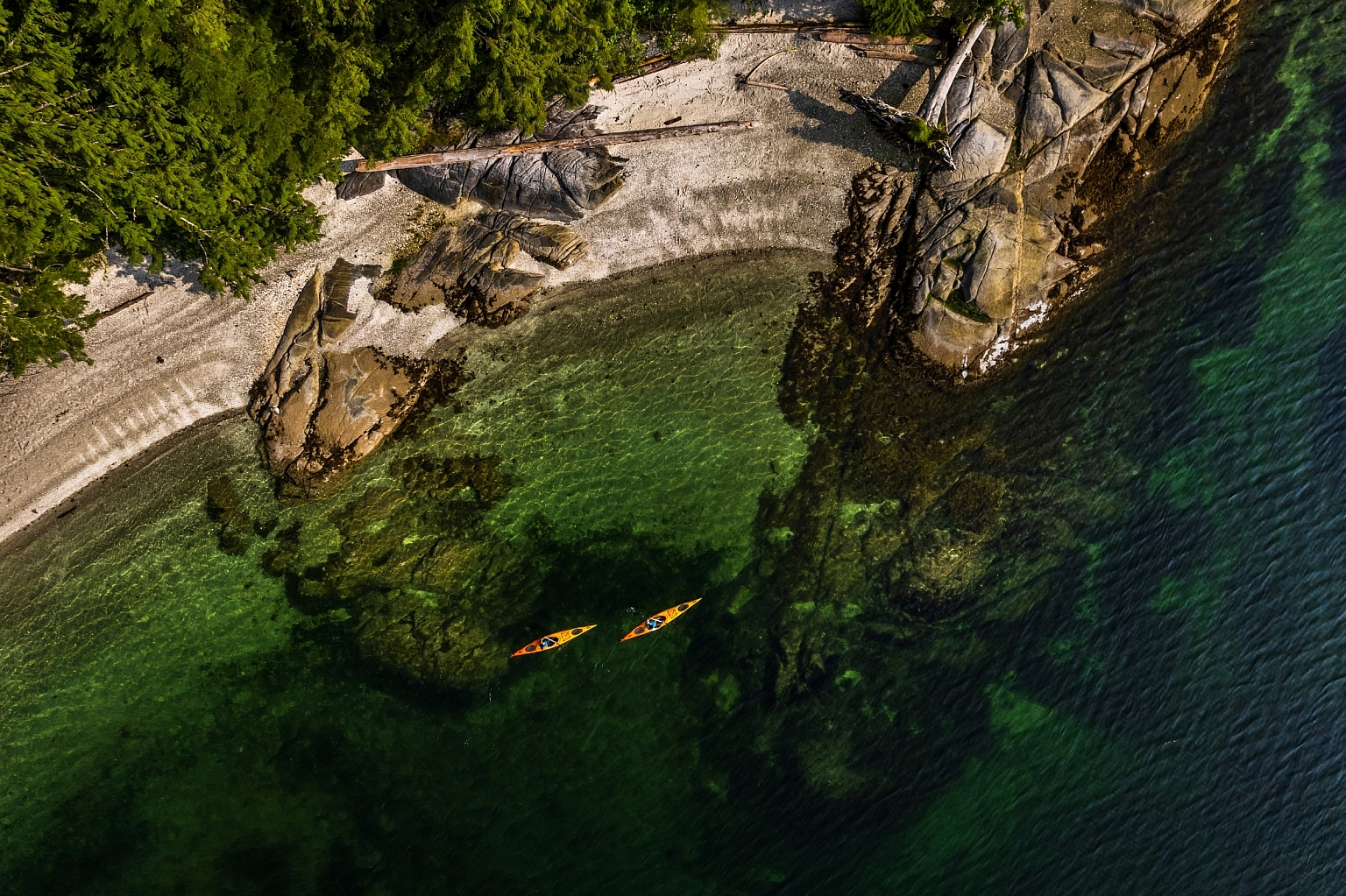 Aerial photo of two yellow kayaks paddling near the share at Bishop Bay-Monkey Beach. The water is very clear and you can see quite a ways into the depths.