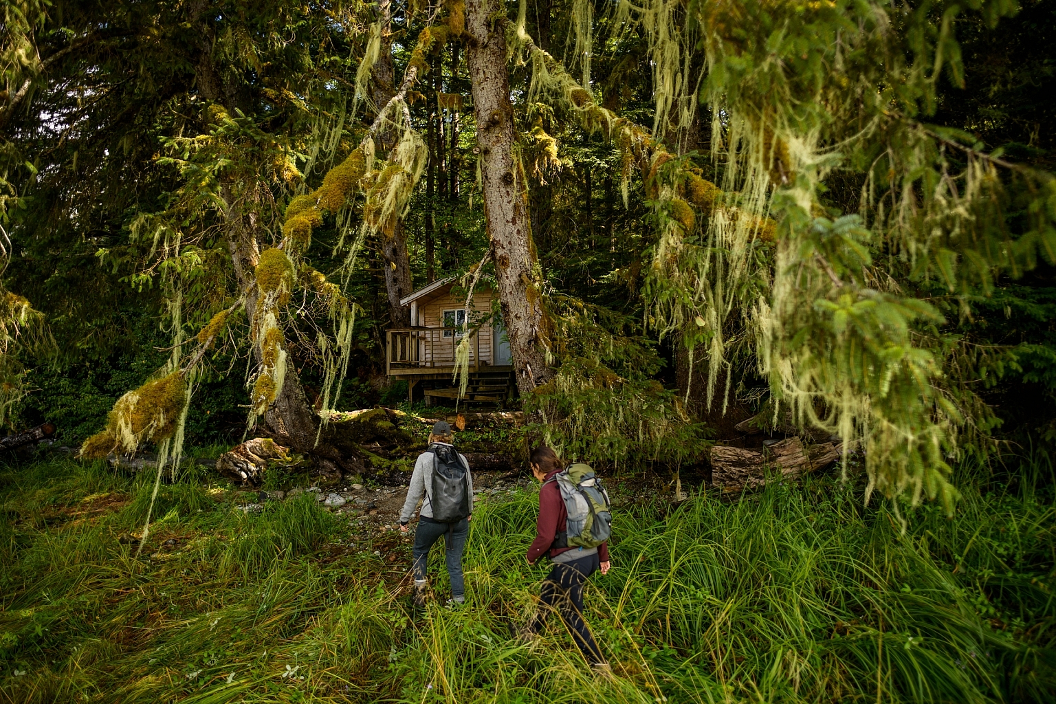Two hikers walk towards the Haisla Cabin at Shearwater Hot Springs Conservancy. The path is overgrown with grass and trees with moss surround the cabin.