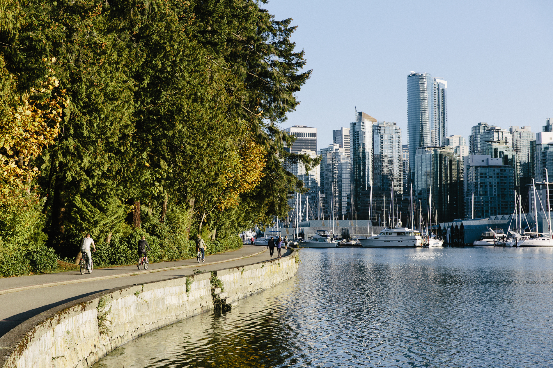 Cyclists and pedestrians riding around the Stanley Park Seawall with trees to the left of the elevated path and the water and the highrises of the city to the right