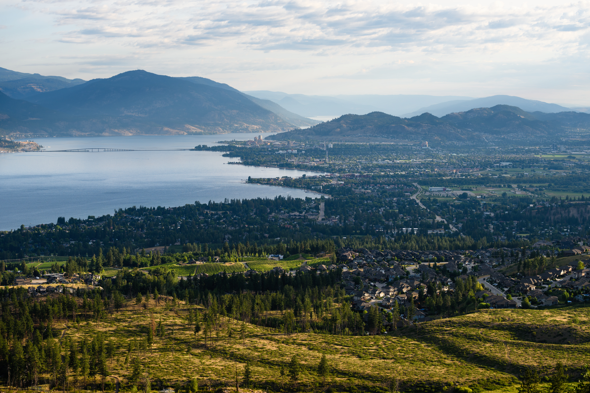 The town of Kelowna in the as seen surrounding Okanagan lake. There are rolling hills of grass, vineyards and mountains in the distance.