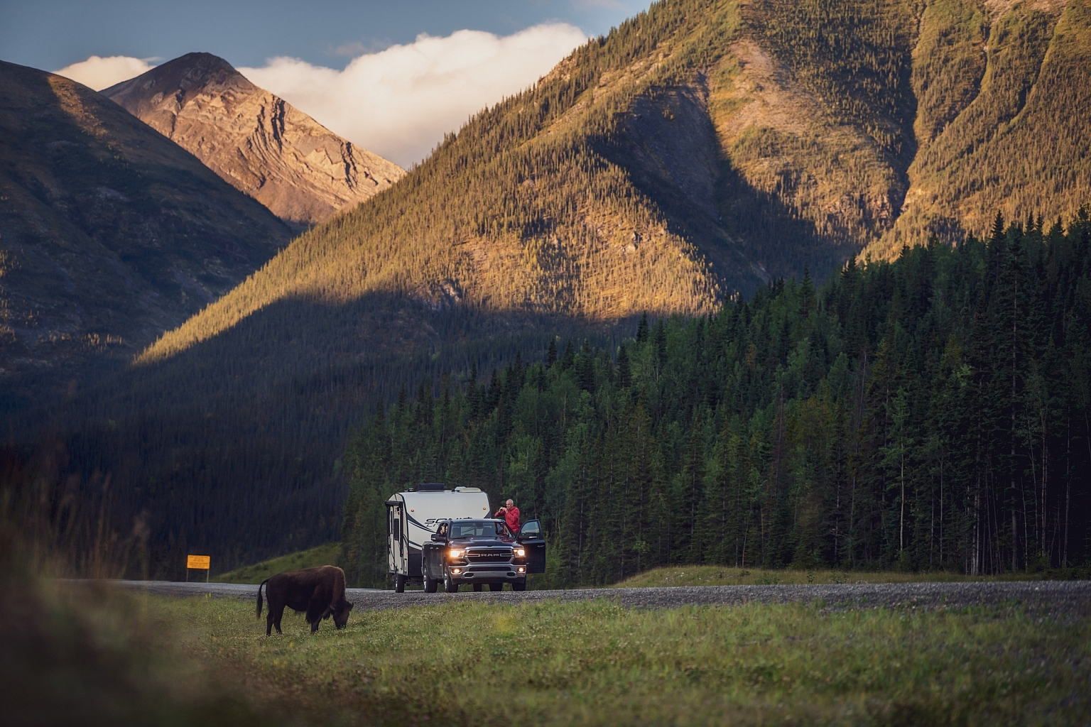 Bison grazing along the sides of the Alaska Highway with mountains in the background.
