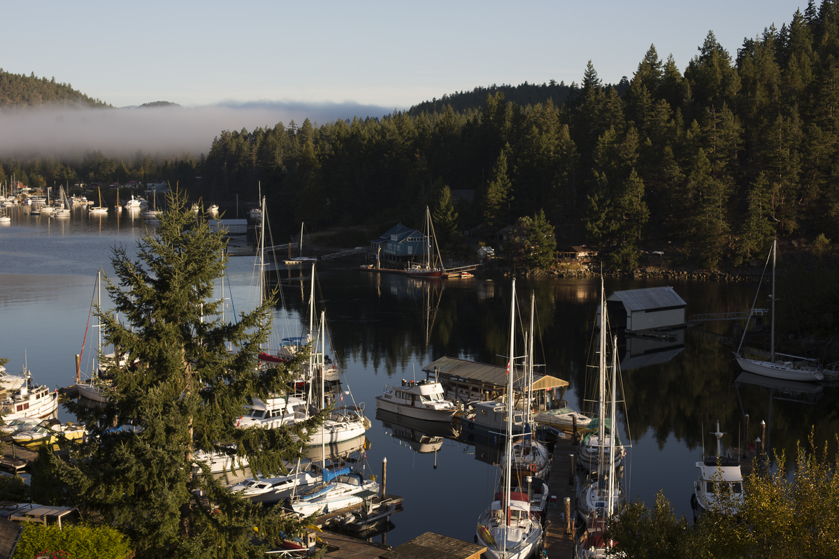 Boats in the marina at Pender Harbour