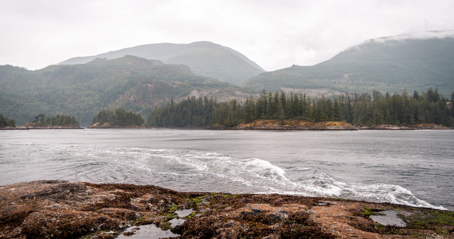 A view of the Skookumchuck Narrows on an overcast day. The rapids are in the foregrounds with grassy mountains in the distance.