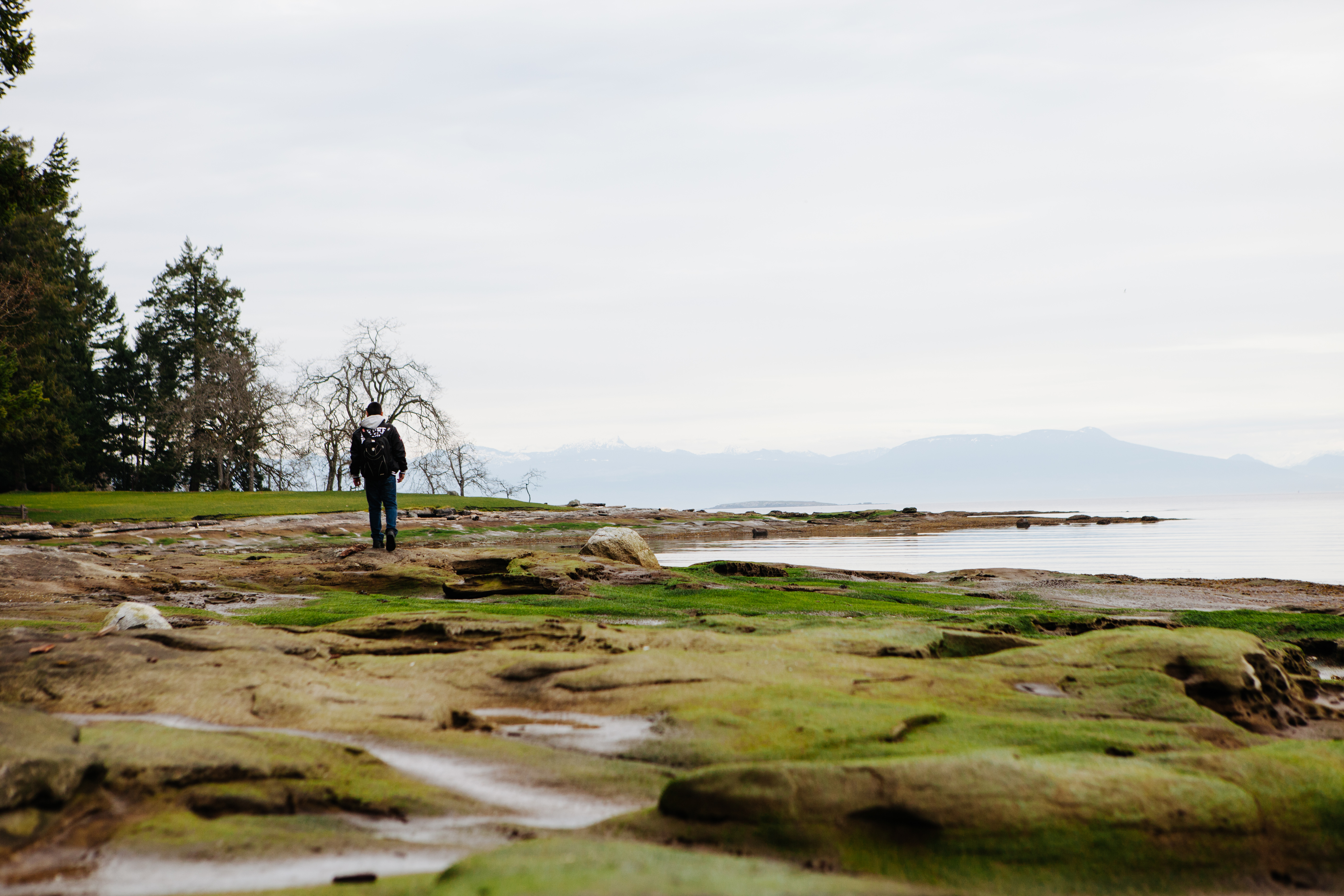 A person walks along the shoreline at Newcastle Island Provincial Park