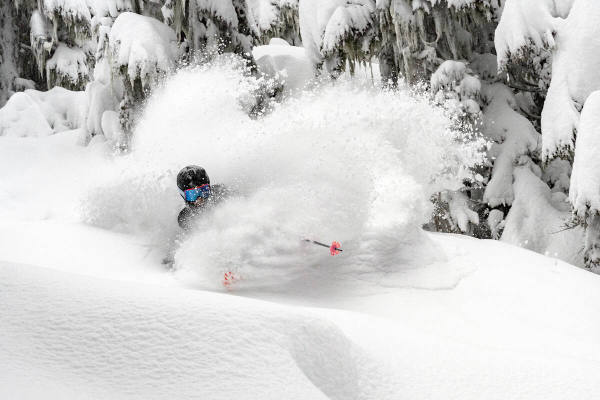 Skier in deep powder in the trees in Whistler, British Columbia