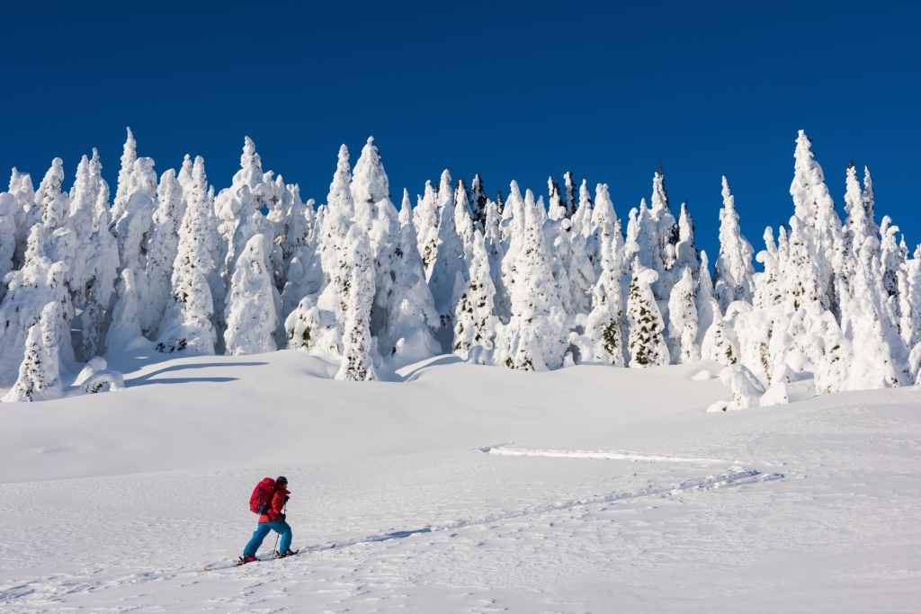 A backcountry skier makes their way up the mountain following a track through the snow. They are wearing a red jacket, blue snow pants and carrying a red bag. There are trees in the distance completely covered in snow. 