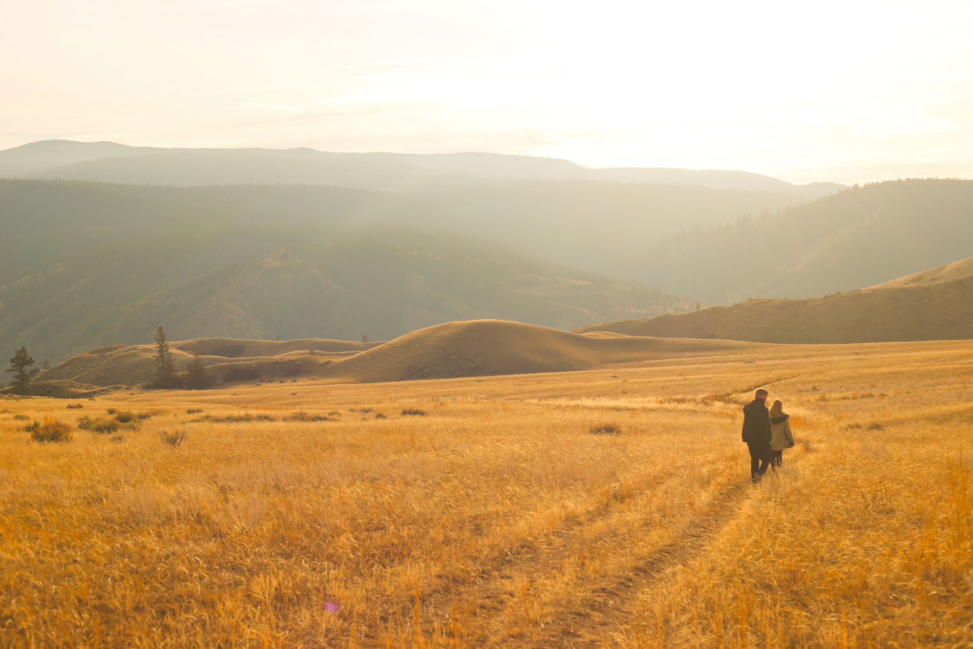 A golden grassy field with low rolling hills in the distance. Two people walk through the field facing away from the camera.