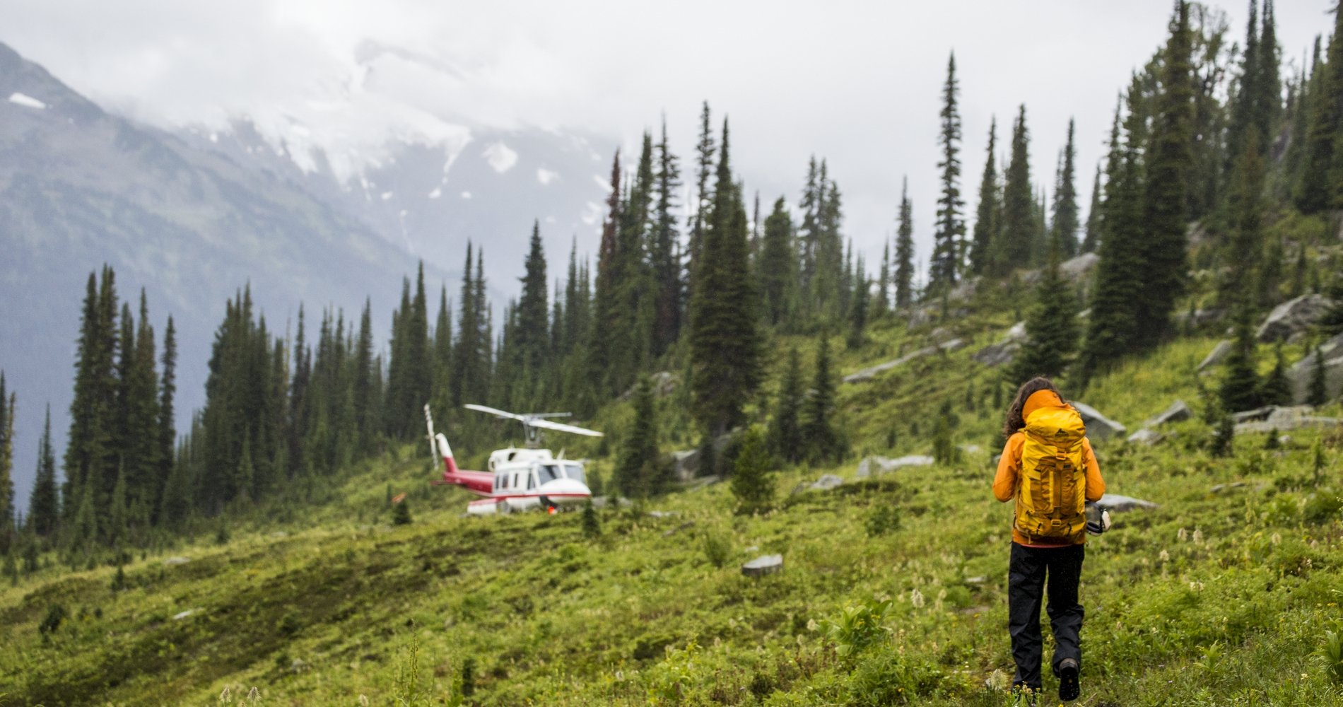 A hiker approaches a helicopter that has landed in a clearing in the woods.