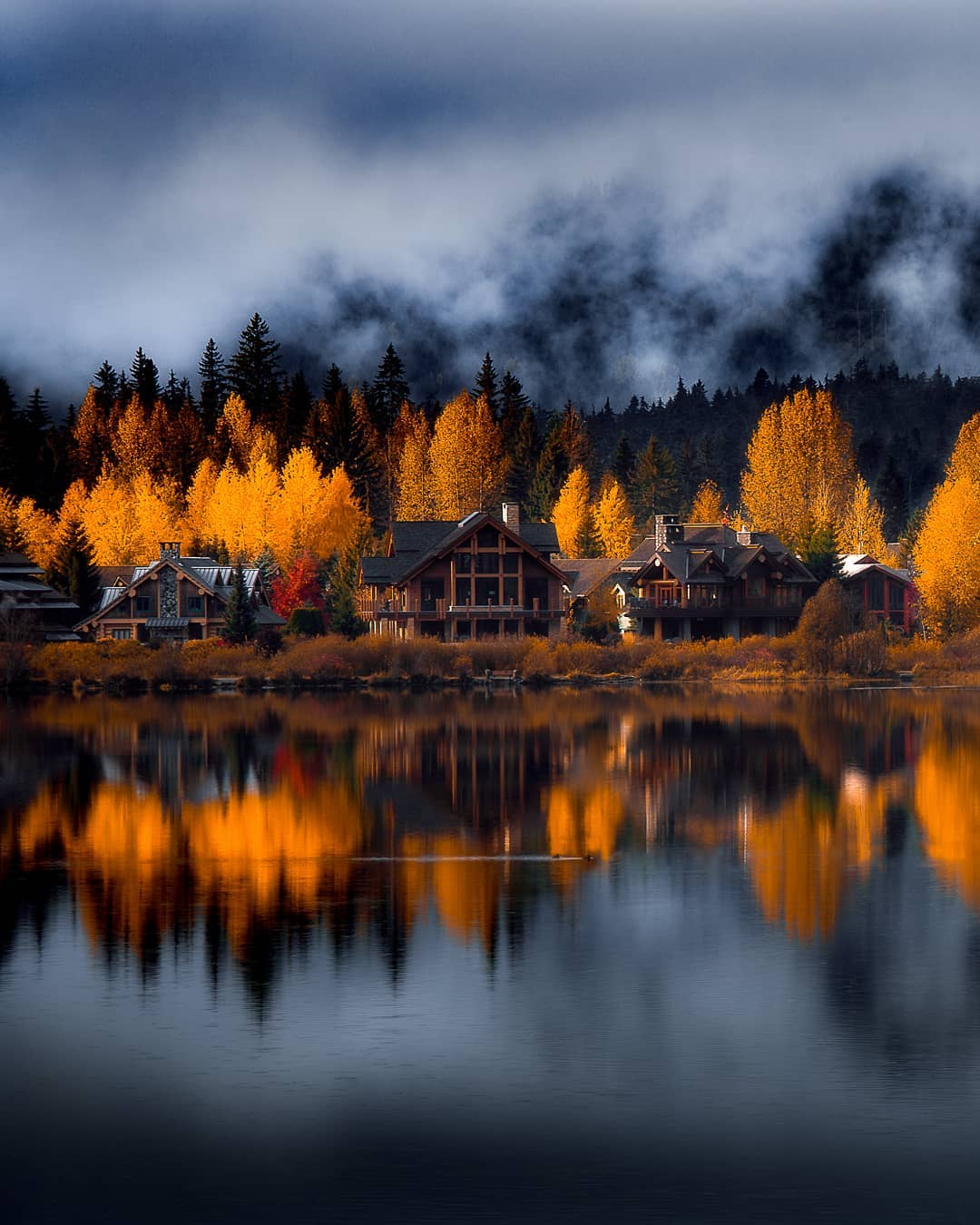 Golden trees dot the shoreline with three houses on a lake