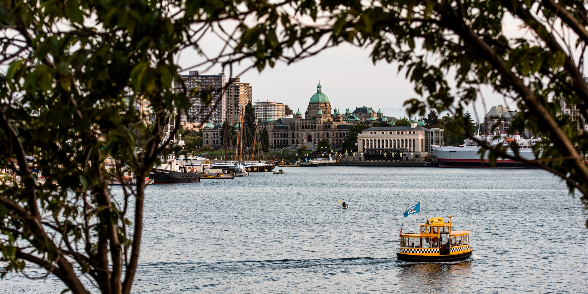 A small boat as a water taxi is crossing the harbour in Victoria. There are two trees framing the photo.