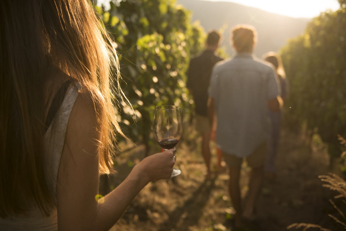 Group of people walking between rows of grapes at a vineyard