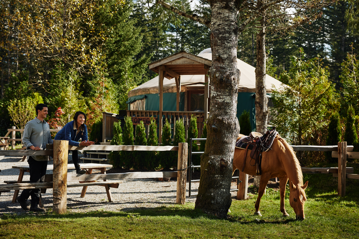 Couple standing near a horse outside the yurts at Cheekye Ranch. The horse is eating grass in a field and the couple is behind a wooden fence.