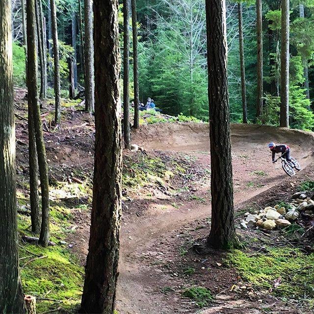 Mountain biker rides down a curving dirt path through the trees