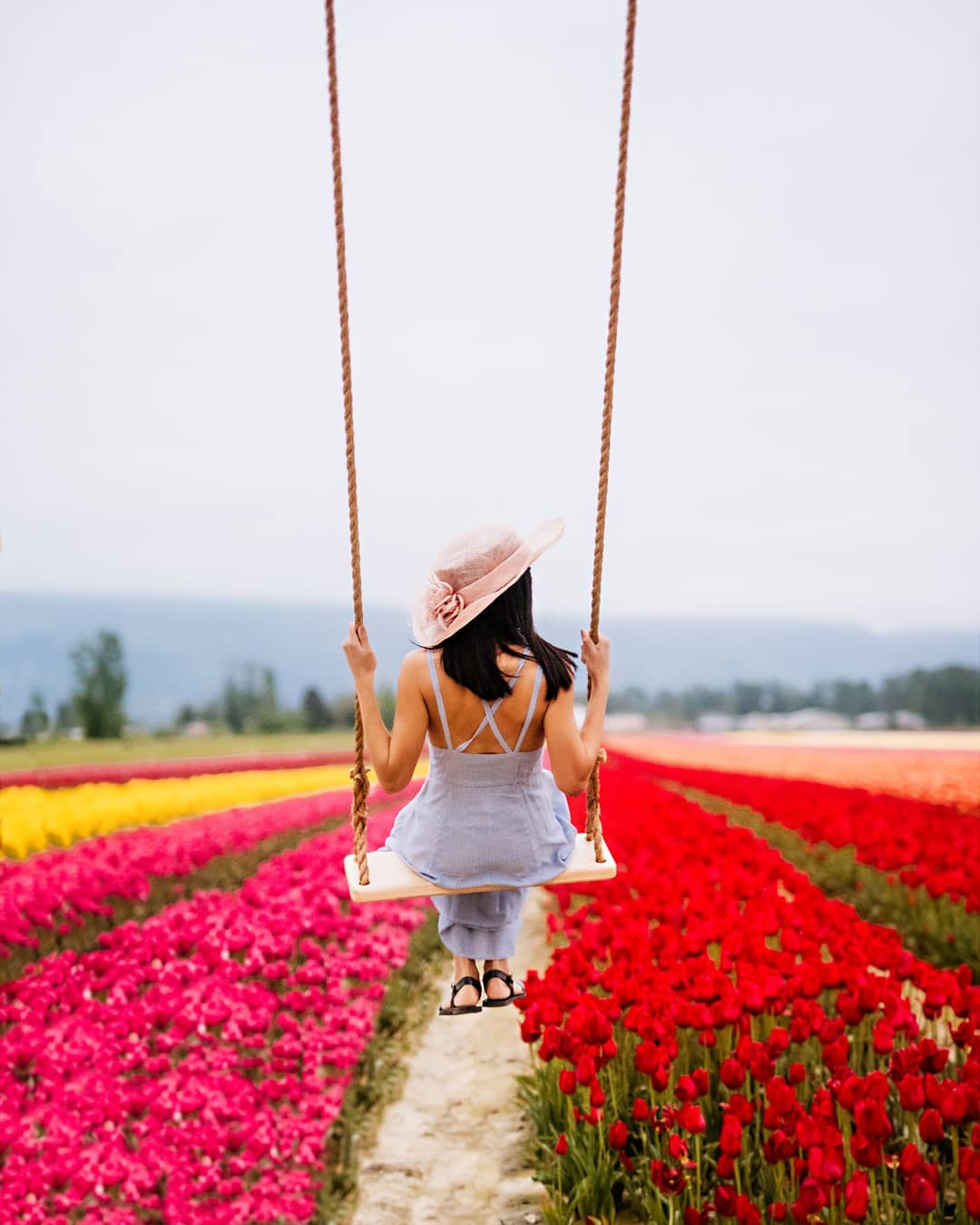 A woman swings out over rows of pink and red tulips at the Chilliwack Tulip Festival. She is wearing a white dress and a wide brimmed pink hat.