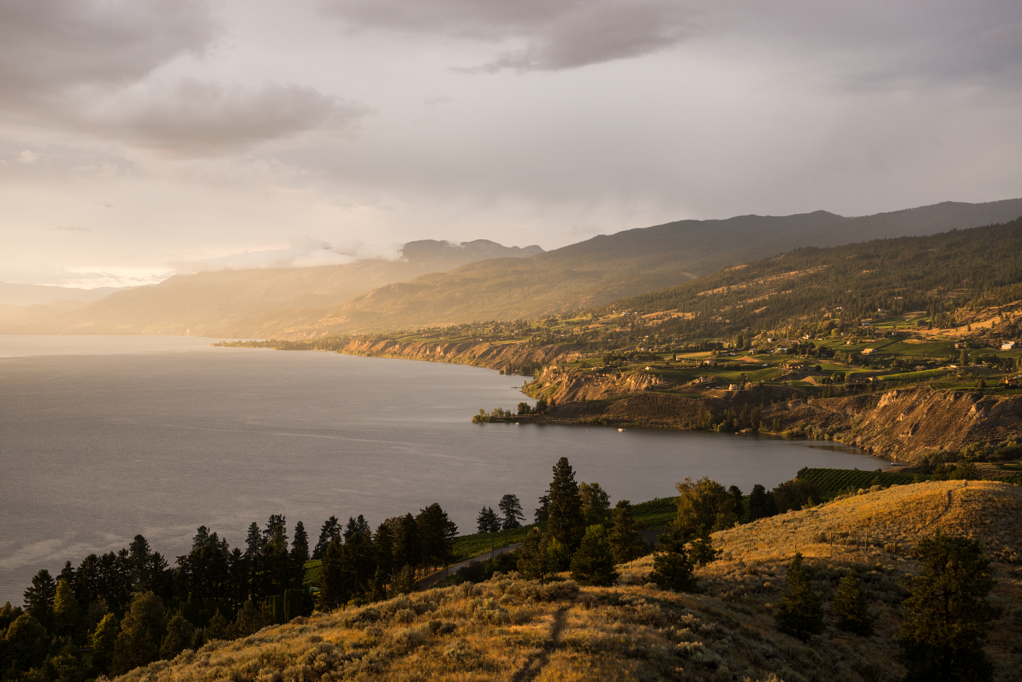 Sunset over Okanagan Lake and Naramata from Munson Mountain. The hills are gently sloped down towards the lake with vineyards and farmlands.