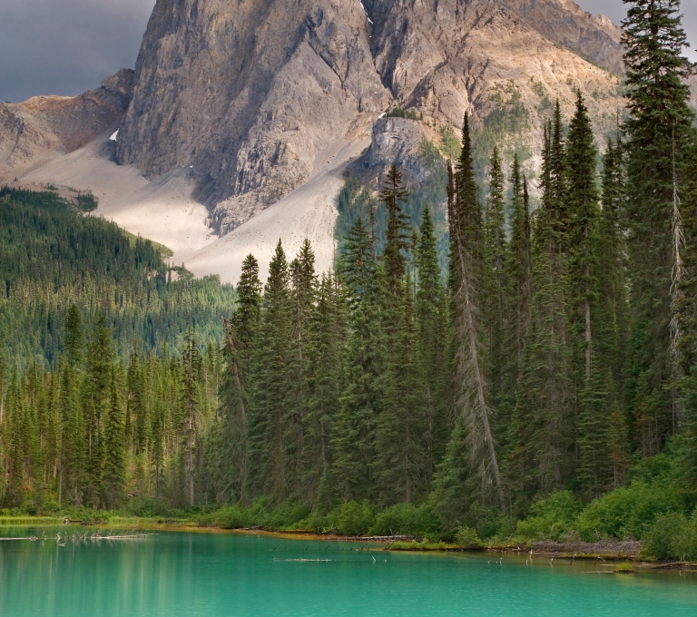 Striking turquoise lake baked by a row of evergreen trees with rugged peaks in the background.