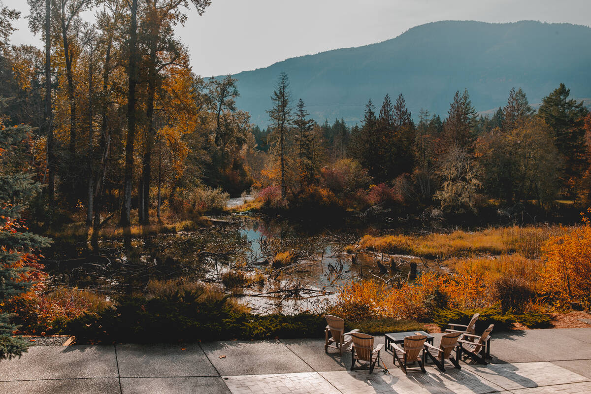 Outdoor seating on the Cowichan River at Cowichan River Lodge in Lake Cowichan.