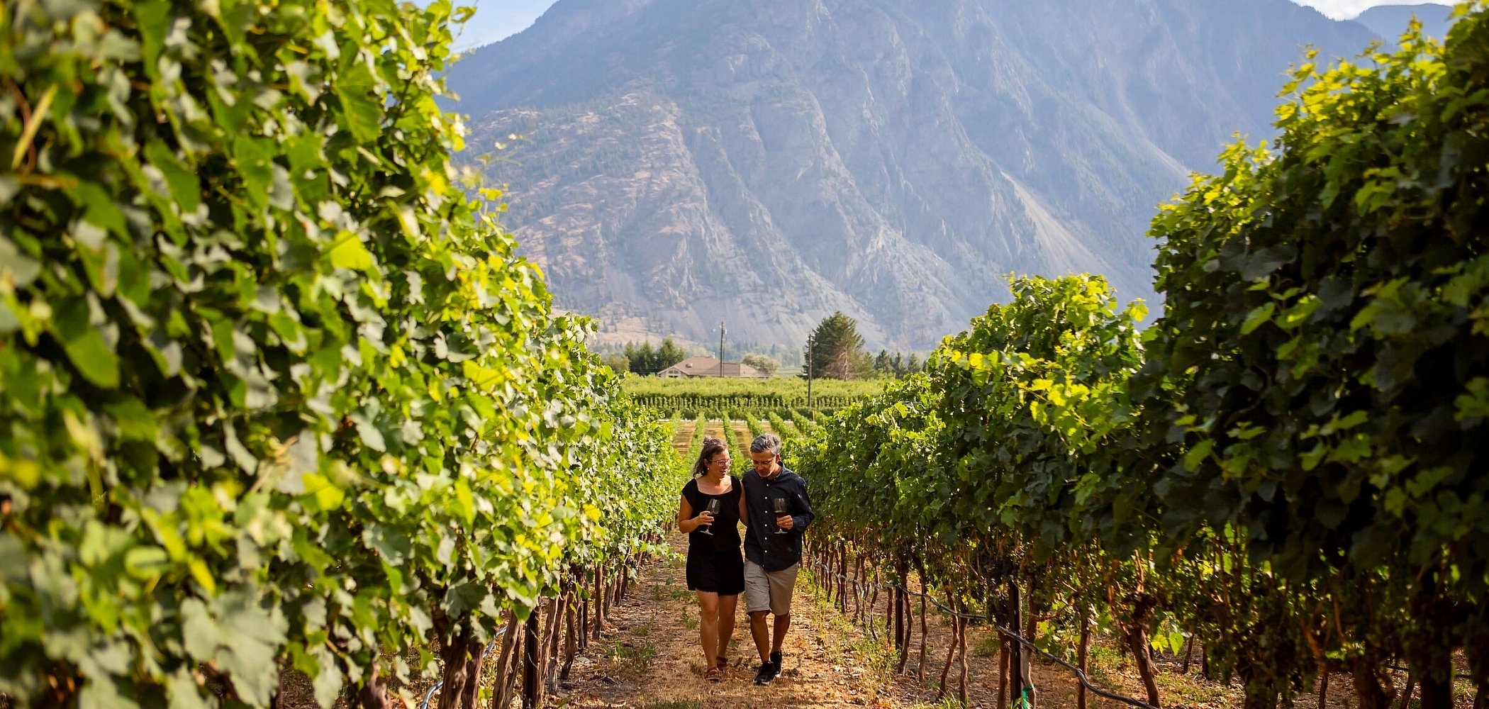 Couple walking through the vineyards at Corcelettes Estate Winery